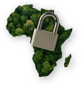 potentiel de l'Afrique sur les marchés carbone verrouillé